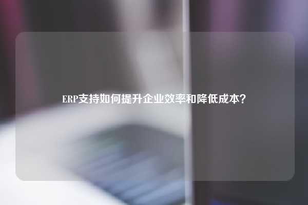 ERP支持如何提升企业效率和降低成本？