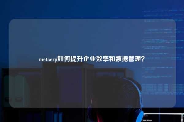 metaerp如何提升企业效率和数据管理？