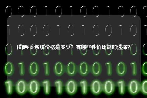 拉萨ERP系统价格是多少？有哪些性价比高的选择？