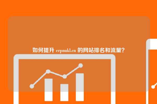 如何提升 erpnukl.cn 的网站排名和流量？