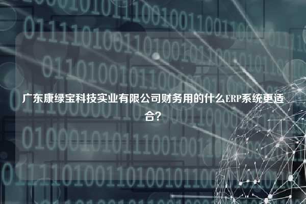 广东康绿宝科技实业有限公司财务用的什么ERP系统更适合？