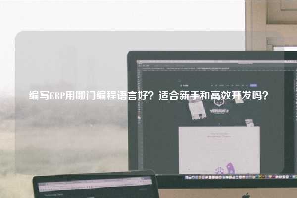 编写ERP用哪门编程语言好？适合新手和高效开发吗？