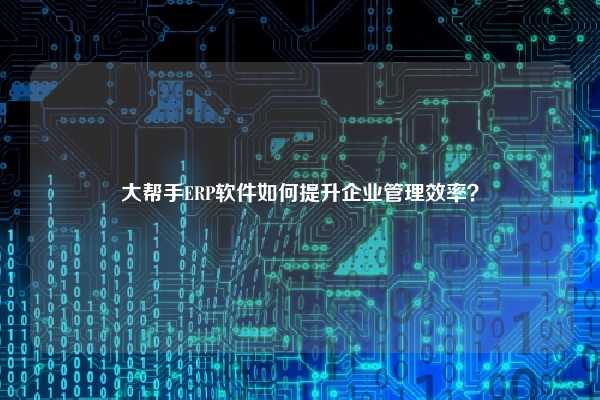 大帮手ERP软件如何提升企业管理效率？