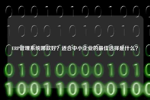 ERP管理系统哪款好？适合中小企业的最佳选择是什么？