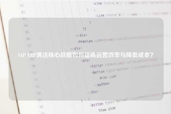 SAP ERP清洁核心战略如何提高运营效率与降低成本？