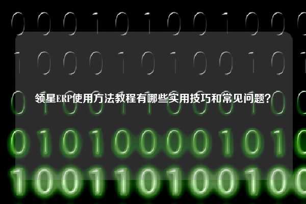 领星ERP使用方法教程有哪些实用技巧和常见问题？