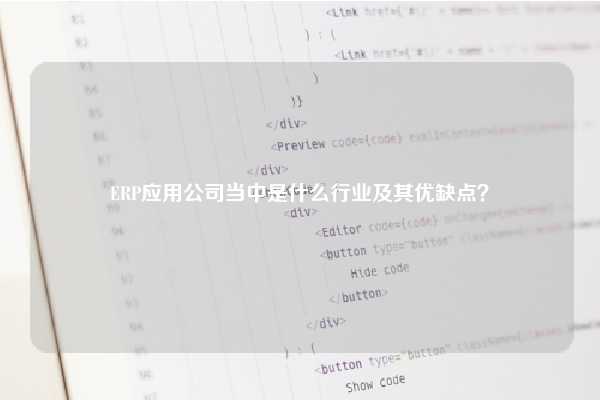 ERP应用公司当中是什么行业及其优缺点？