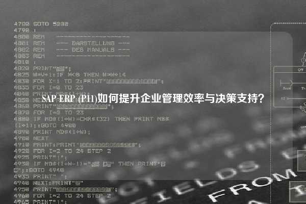 SAP ERP (P11)如何提升企业管理效率与决策支持？