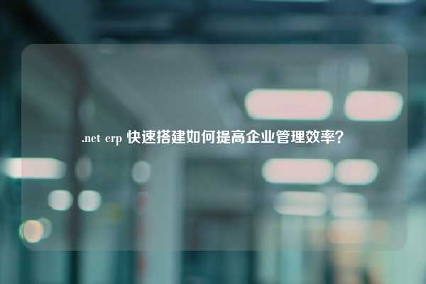 .net erp 快速搭建如何提高企业管理效率？