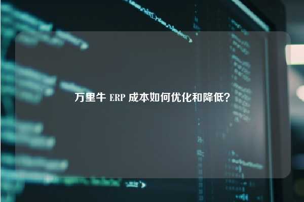 万里牛 ERP 成本如何优化和降低？