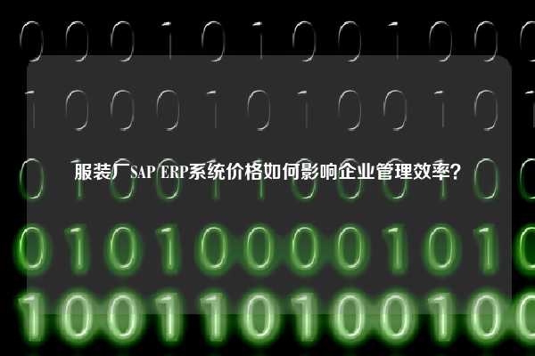 服装厂SAP ERP系统价格如何影响企业管理效率？