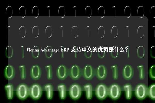 Vienna Advantage ERP 支持中文的优势是什么？