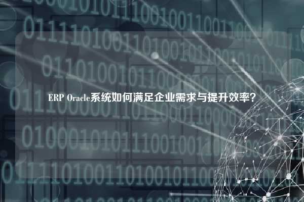 ERP Oracle系统如何满足企业需求与提升效率？