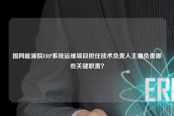 国网能源院ERP系统运维项目担任技术负责人主要负责哪些关键职责？