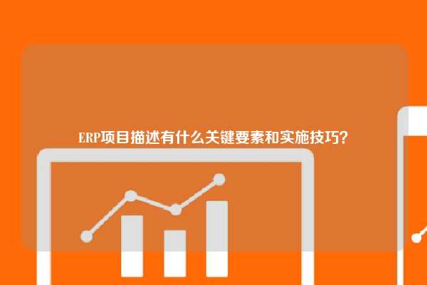 ERP项目描述有什么关键要素和实施技巧？