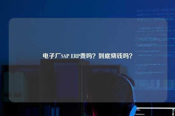 电子厂SAP ERP贵吗？到底烧钱吗？