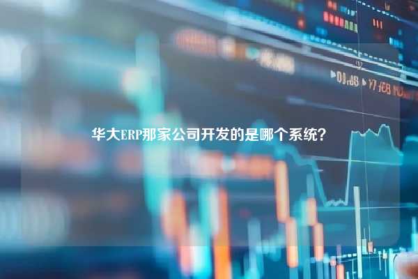 华大ERP那家公司开发的是哪个系统？