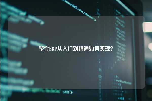 整合ERP从入门到精通如何实现？