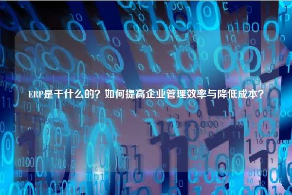 ERP是干什么的？如何提高企业管理效率与降低成本？