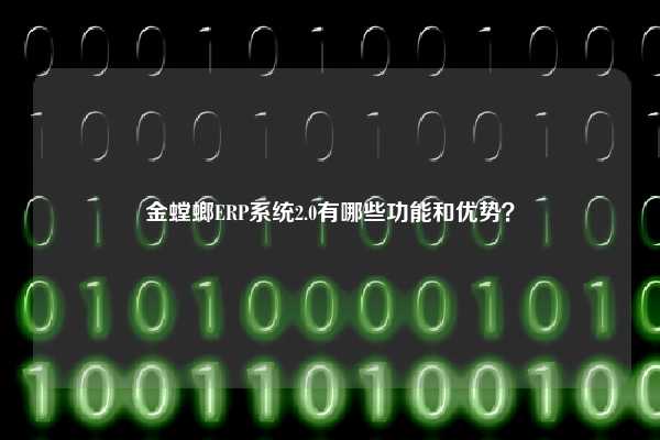 金螳螂ERP系统2.0有哪些功能和优势？