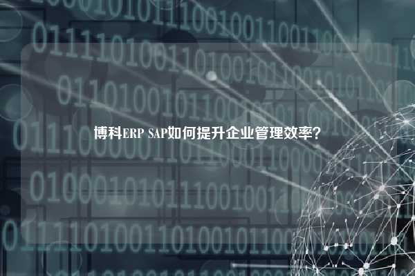 博科ERP SAP如何提升企业管理效率？