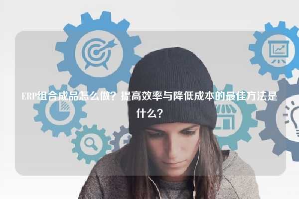 ERP组合成品怎么做？提高效率与降低成本的最佳方法是什么？