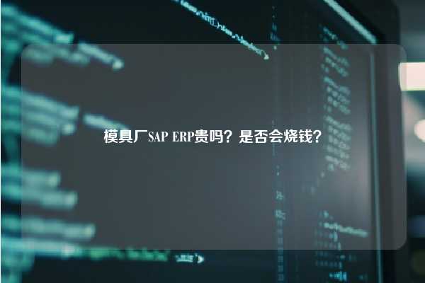 模具厂SAP ERP贵吗？是否会烧钱？