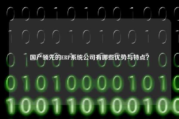 国产领先的ERP系统公司有哪些优势与特点？