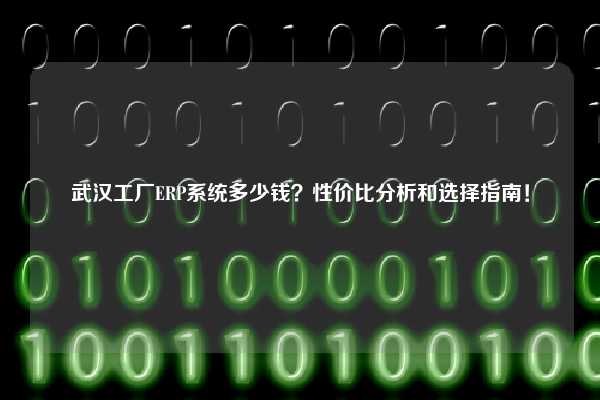 武汉工厂ERP系统多少钱？性价比分析和选择指南！