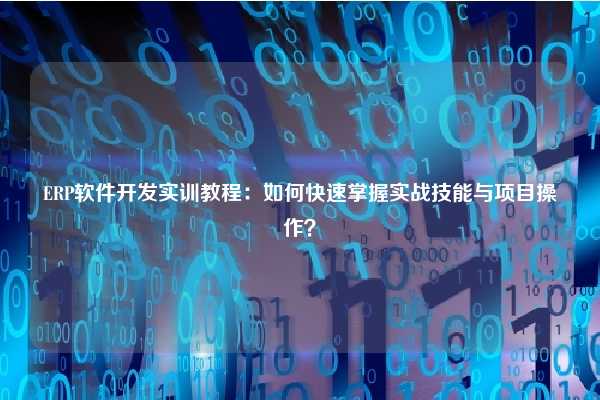 ERP软件开发实训教程：如何快速掌握实战技能与项目操作？