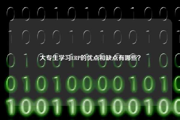 大专生学习ERP的优点和缺点有哪些？