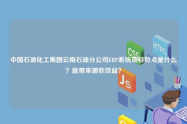 中国石油化工集团云南石油分公司ERP系统项目特点是什么？能带来哪些效益？