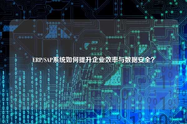 ERP/SAP系统如何提升企业效率与数据安全？