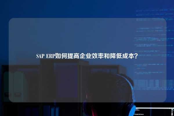 SAP ERP如何提高企业效率和降低成本？