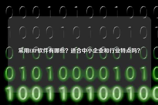 常用ERP软件有哪些？适合中小企业和行业特点吗？