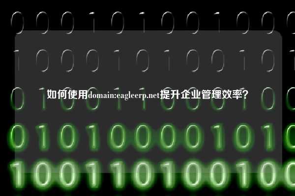 如何使用domain:eagleerp.net提升企业管理效率？