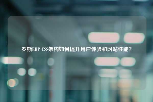 罗斯ERP CSS架构如何提升用户体验和网站性能？