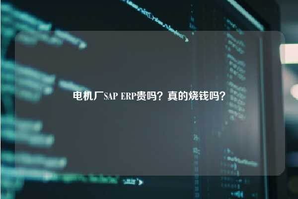 电机厂SAP ERP贵吗？真的烧钱吗？