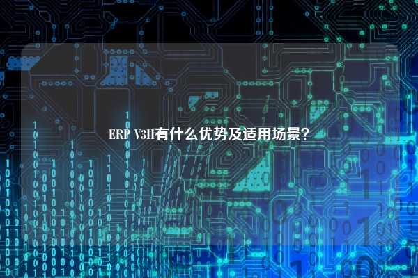 ERP V3II有什么优势及适用场景？