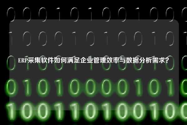 ERP采集软件如何满足企业管理效率与数据分析需求？