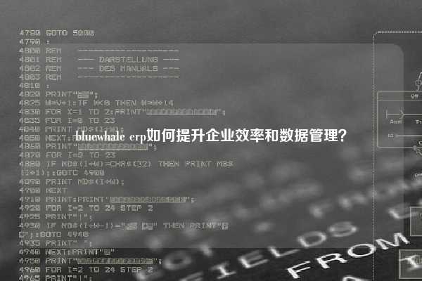 bluewhale erp如何提升企业效率和数据管理？