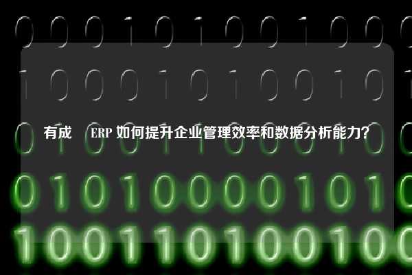 有成雲 ERP 如何提升企业管理效率和数据分析能力？