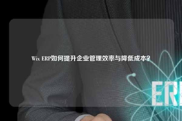 Wix ERP如何提升企业管理效率与降低成本？