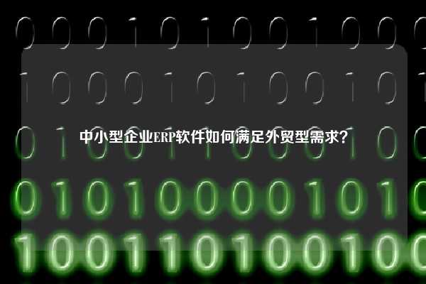 中小型企业ERP软件如何满足外贸型需求？