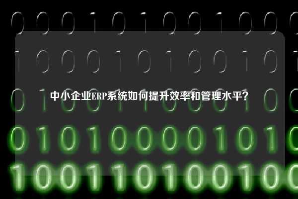 中小企业ERP系统如何提升效率和管理水平？