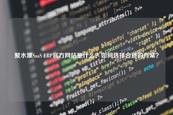 聚水潭SaaS ERP官方网站是什么？如何选择合适的方案？