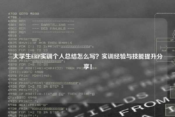 大学生ERP实训个人总结怎么写？实训经验与技能提升分享！