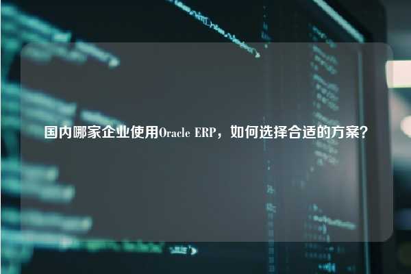 国内哪家企业使用Oracle ERP，如何选择合适的方案？