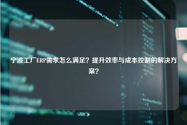 宁波工厂ERP需求怎么满足？提升效率与成本控制的解决方案？